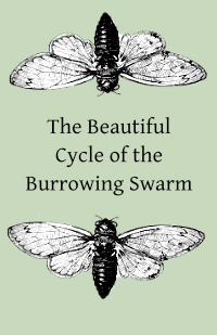 The Beautiful Cycle_of the Burrowing Swarm